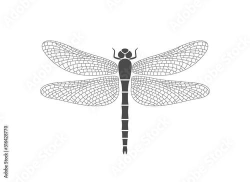 Dragonfly logo. Isolated dragonfly on white background Tableau sur Toile