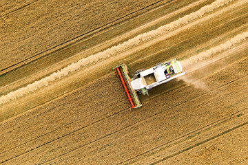 Wall Mural - Harvester machine top view.