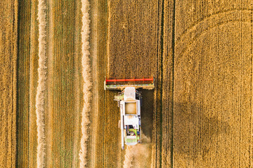 Wall Mural - Harvester machine drone view