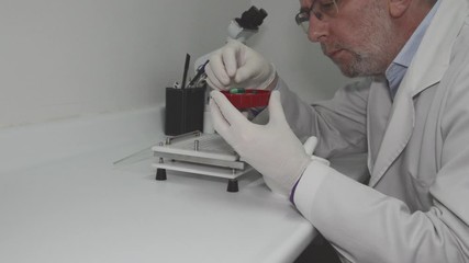 Wall Mural - Pharmacist preparing capsules in a prescription laboratory