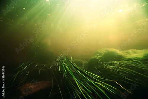 underwater-freshwater-green-landscape-underwater-landscape-of-the-lake-ecosystem-algae-green-water-fresh-water