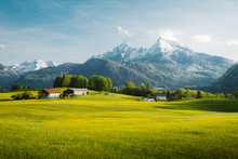 Idyllic Landscape In The Alps With Blooming Meadows In Springtime