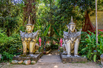 Buddha Statue in the Woods at the  Buddhist Wat Palad Pha Lat Wat Sakithaka Forest Temple in Chiang Mai Province Thailand