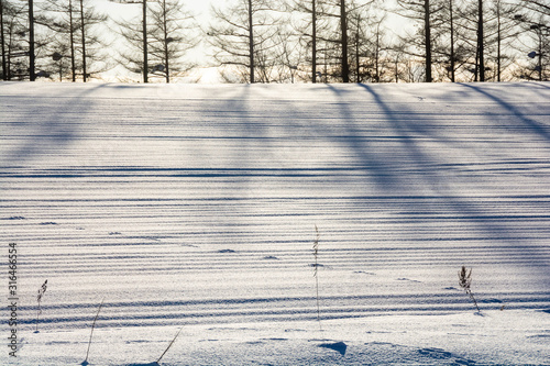 雪の上のカラマツ林の影と野生動物の足跡 Buy This Stock Photo And Explore Similar Images At Adobe Stock Adobe Stock 雪の上のカラマツ林の影と野生動物の足跡 Buy This Stock Photo And Explore Similar Images At Adobe Stock Adobe Stock