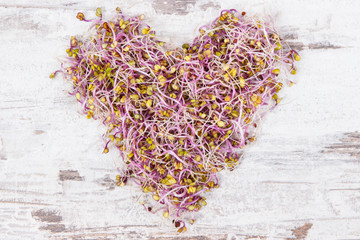 Healthy kale sprouts in shape of heart containing vitamins and minerals