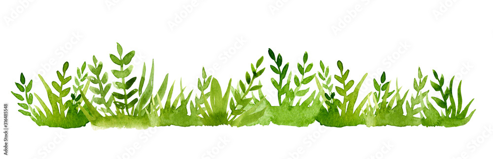 Watercolor green grass isolated on white background. - obrazy, fototapety, plakaty 
