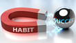 Habit helps achieving success - pictured as word Habit and a magnet, to symbolize that Habit attracts success in life and business, 3d illustration