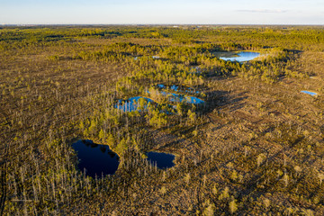 Wall Mural - Sunset in the bog, golden marsh, lakes and nature environment. Sundown evening light in summer