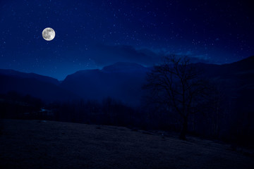 Wall Mural - Scenic night landscape of country road at night with large moon