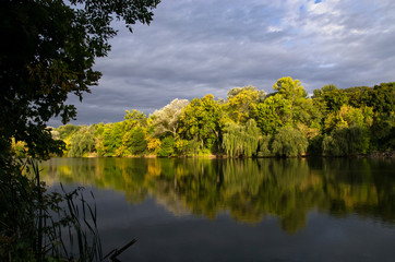 Wall Mural - Autumn landscape with trees by the pond