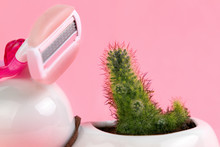 A Green Cactus And Next To It Is A Razor On A Pink Background. The Concept Of Depilation And Epilation. Close Up And Copy Space
