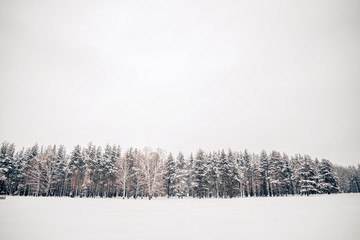 Beautiful winter nature, white snow