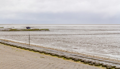 coastal scenery in Eastern Frisia