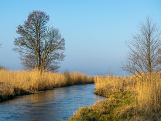 Wall Mural - spring landscape with small river mouth, dry reeds