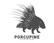 Porcupine logo icon design vector illustration