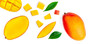 Seamless pattern with mango fruit with pieces. Tropical Mango isolated on the white background.  Top view. Flat lay.