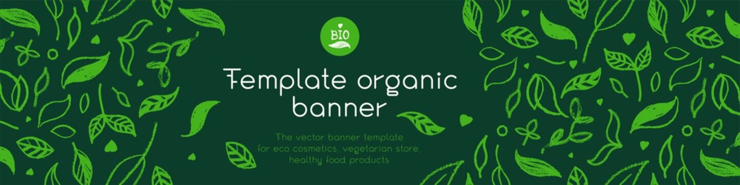 banner organic ingredients, template design for healthy food concept, vegetarian food banner for eco