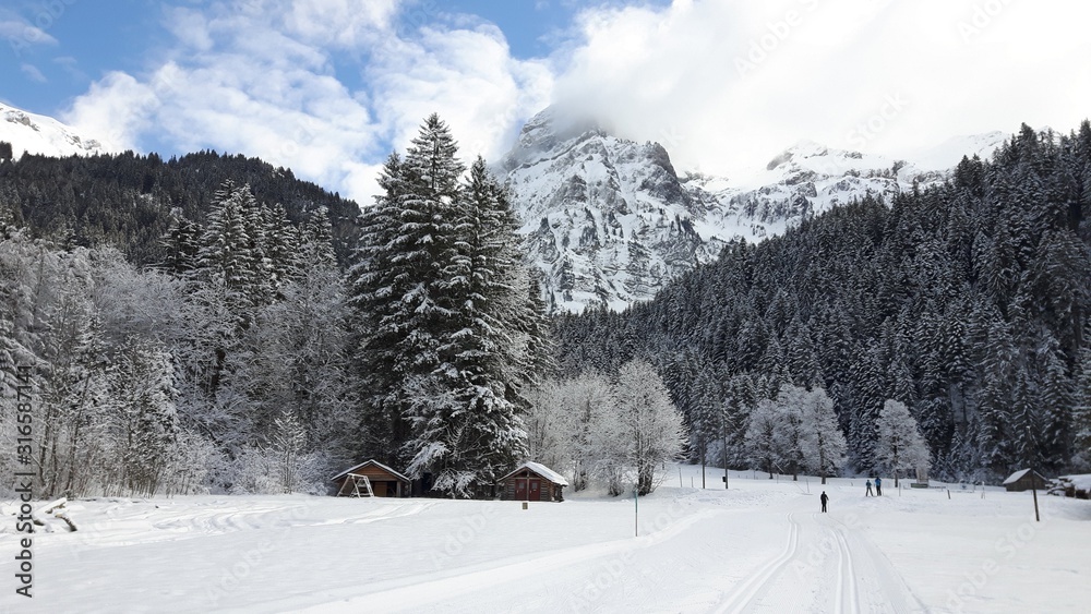 Trasy narciarstwa biegowego w górach - Alpy, Szwajcaria - obrazy, fototapety, plakaty 