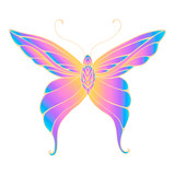 Fototapeta Motyle - Butterfly with patterned wings, bright gradient orange purple blue color, isolated white background
