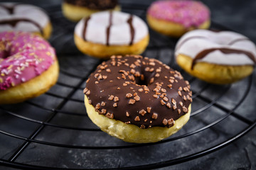 Wall Mural - Tasty baked donut with brown chocolate glazing and sprinkles on cake grid with other colorful donuts in background