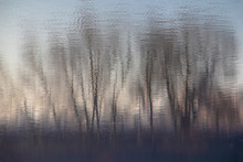 Blurry Dark Water Reflection Of The Bare Trees In A Forest