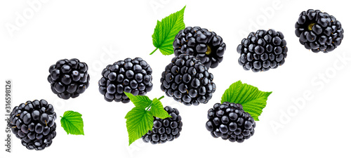 Cuadros en Lienzo Ripe blackberry isolated on white background