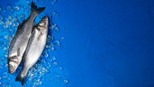 Seabass Fish On Ice On Blue Color Background, Top View