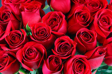 Fresh Red Roses In A Bouquet As Background