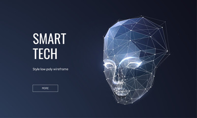 Smart technology low poly wireframe landing page template