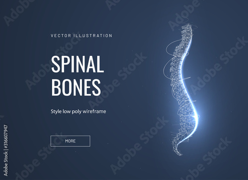 Fotografía Spinal bones, vertebra low poly wireframe landing page template