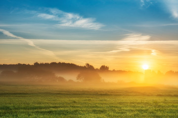 beautiful summer sunrise over fields