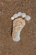 Alone trace footprint of left foot made of sea shells on the sand texture background