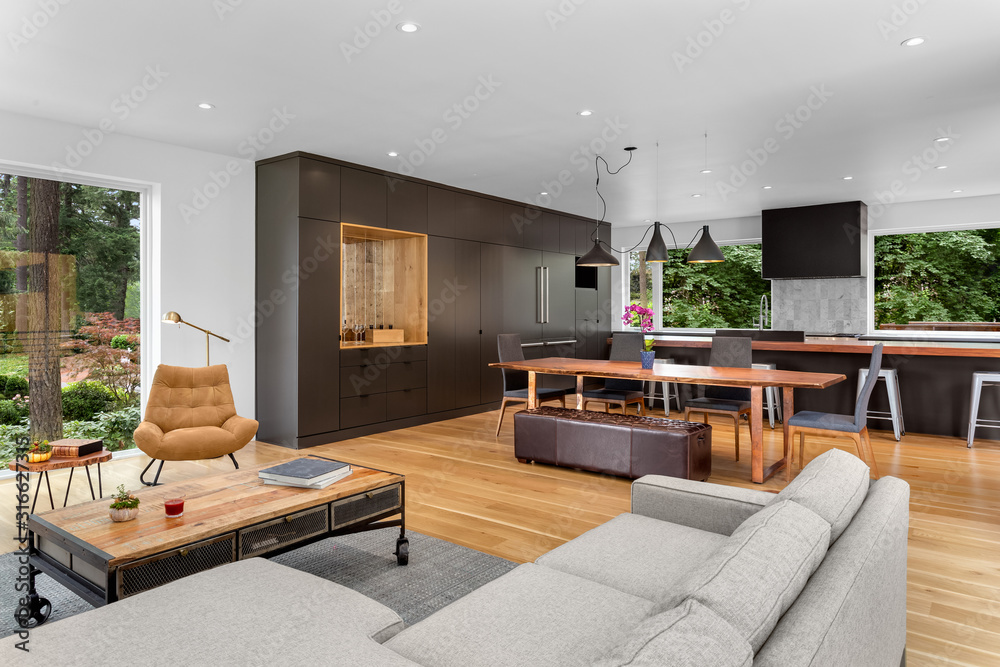 Living room and kitchen in new contemporary style luxury home with open ...