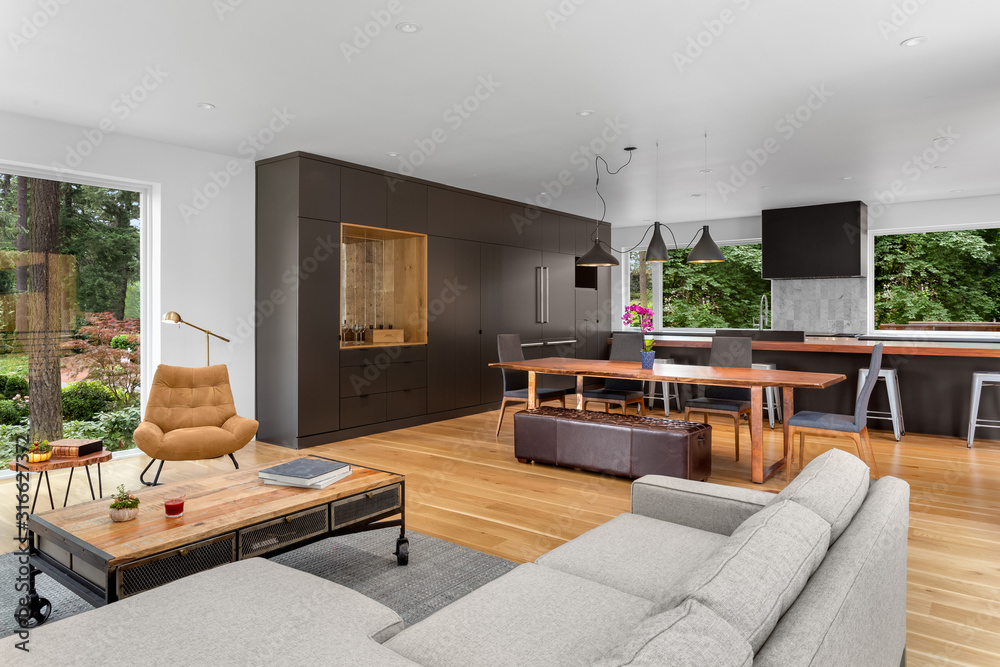 Living room and kitchen in new contemporary style luxury home with open ...