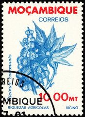 Castor oil plant (Ricinus communis) on postage stamp