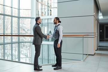 Poster - Two young elegant business partners shaking hands while greeting one another
