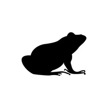 Vector Frog
