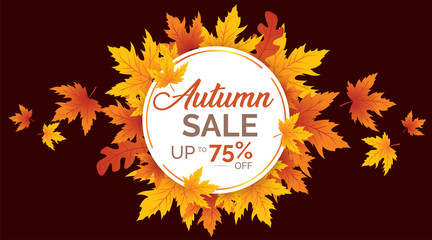 Wall Mural - Autumn Sale Background, Autumn Sale, Autumn Background, Autumn leaves background, Autumn Banner Backgrounds