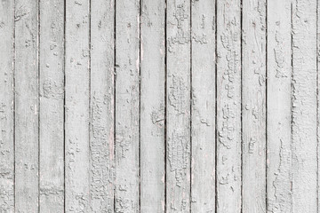 Wall Mural - white wood texture background