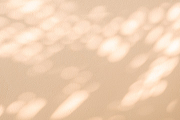 Wall Mural - abstract rose gold light bokeh of natural leaves shadow background of tree branch falling on white c