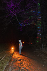 Wall Mural - Bright orange light and colorful lighted garland wrapped over trunk of huge tree in botanical garden of Berlin. Woman stands under high illuminated tree in night darkness. Winter holiday light show