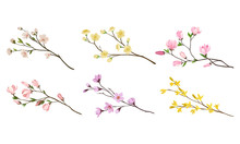 Blooming Tree Branches And Twigs With Tender Flower Buds Vector Set