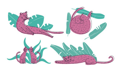 Wall Mural - leopard curling up on palm leaves vector set. stylized funny african animal.