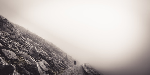 Wall Mural - Mountain landscape with rocks and creeping fog. High peaks in the clouds, cold weather. Tourism in the mountains