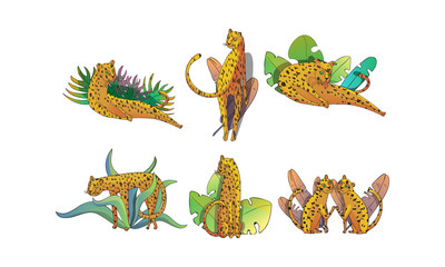 Wall Mural - leopard sitting and lying on palm leaves vector set. stylized funny african animal