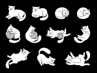 Wall Mural - White doodle cat character. Cute domestic cats vector illustration, funny kitty sketch, hand drawn lying and sleeping, jumping and playing kittens on black background