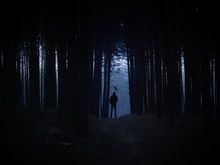 Silhouette Of A Man In A Dark Gloomy Foggy Forest
