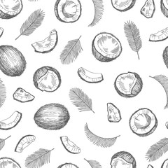 Poster - sketch coconut pattern. exotic food seamless texture. palm leaves vector background. coconut flora f