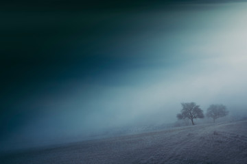 Wall Mural - trees on hill in dark fantasy landscape with fog