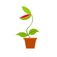 Venus Fly Trap In Pot Icon. Clipart Image Isolated On White Background